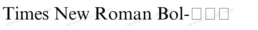 Times New Roman Bol字体转换